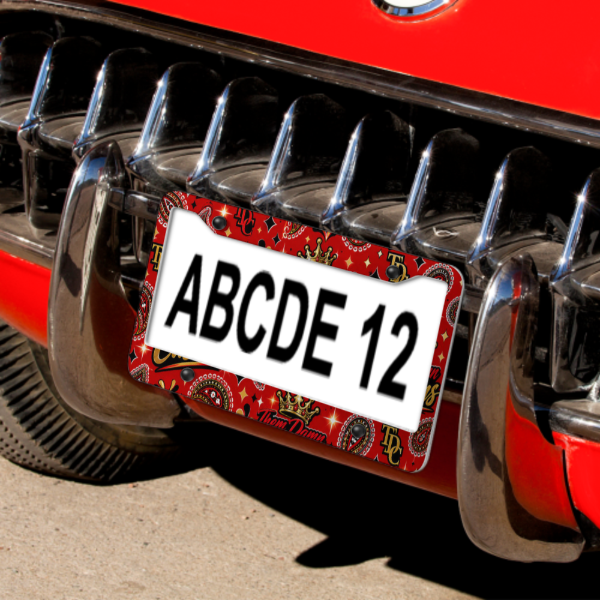 Custom License Plate Frame (4 Round Holes)